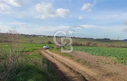 Tekirdağ Çorlu Türkgücü  Mahallesinde Satılık 7000 M2 Tarla 