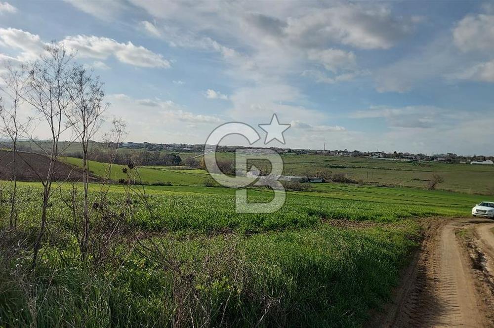 Tekirdağ Çorlu Türkgücü  Mahallesinde Satılık 7000 M2 Tarla 
