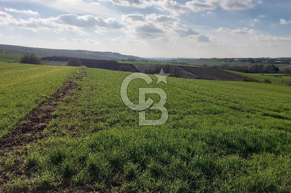 Tekirdağ Çorlu Türkgücü  Mahallesinde Satılık 7000 M2 Tarla 