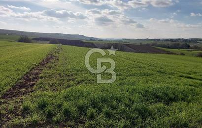 Tekirdağ Çorlu Türkgücü  Mahallesinde Satılık 7000 M2 Tarla 