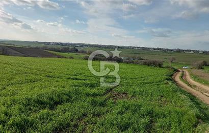 Tekirdağ Çorlu Türkgücü  Mahallesinde Satılık 7000 M2 Tarla 