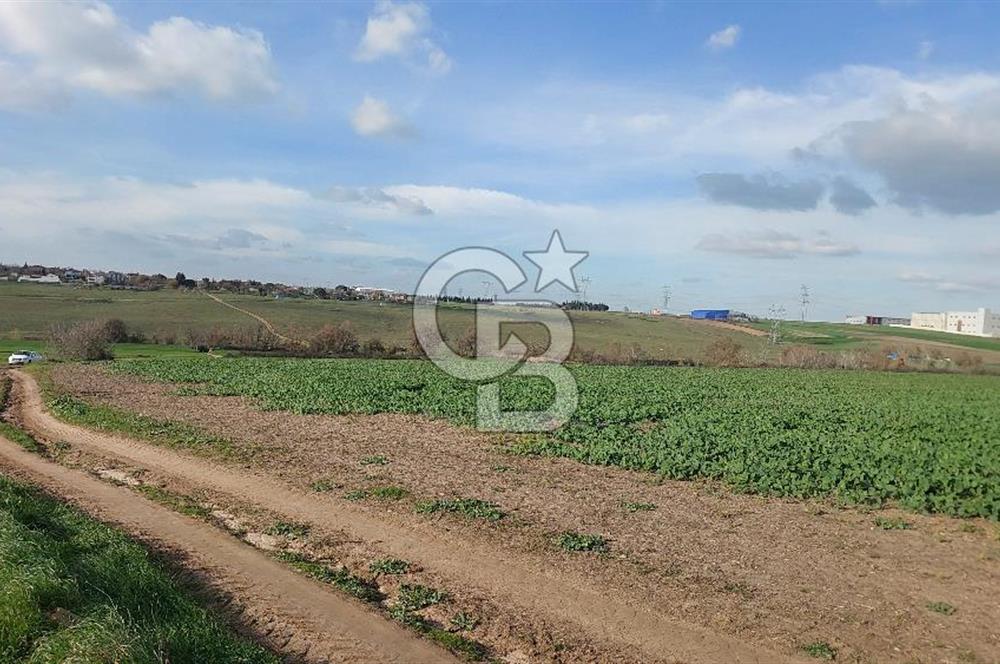 Tekirdağ Çorlu Türkgücü  Mahallesinde Satılık 7000 M2 Tarla 