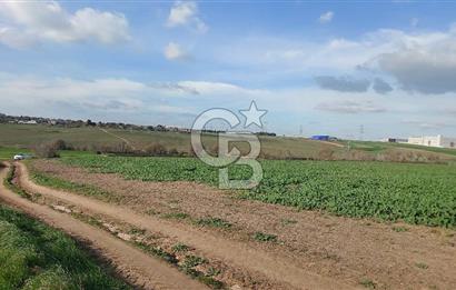 Tekirdağ Çorlu Türkgücü  Mahallesinde Satılık 7000 M2 Tarla 