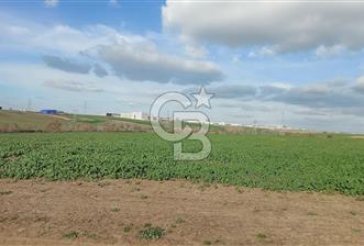 Tekirdağ Çorlu Türkgücü  Mahallesinde Satılık 7000 M2 Tarla  - 2 - 323915