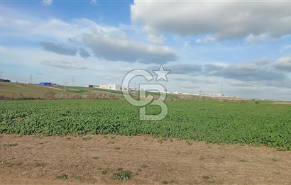 Tekirdağ Çorlu Türkgücü  Mahallesinde Satılık 7000 M2 Tarla 