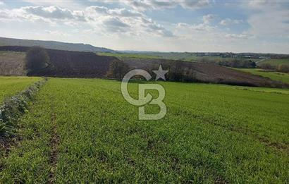 Tekirdağ Çorlu Türkgücü  Mahallesinde Satılık 7000 M2 Tarla 