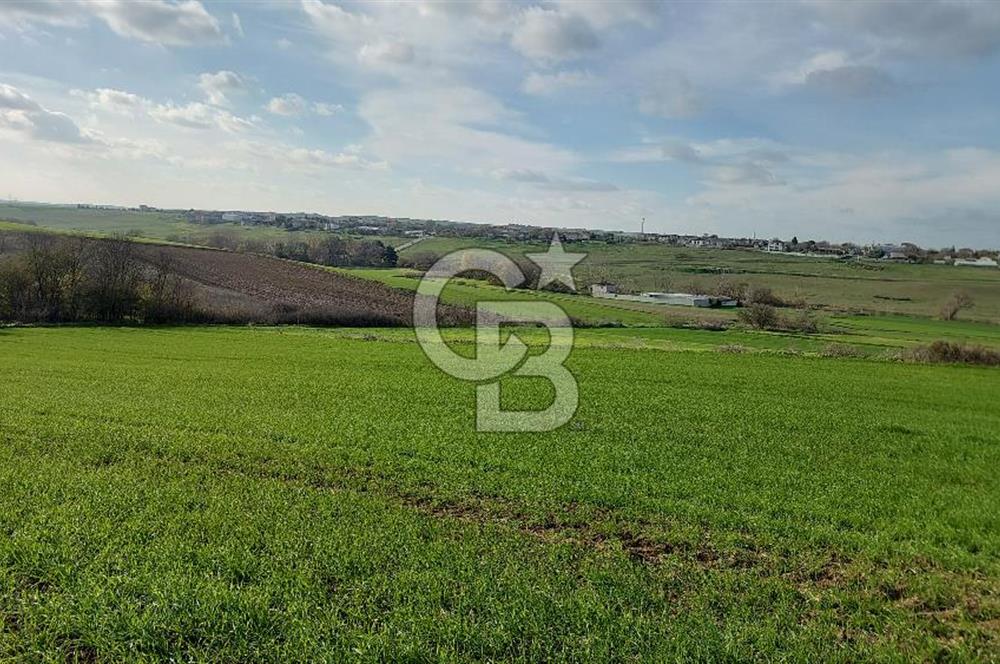 Tekirdağ Çorlu Türkgücü  Mahallesinde Satılık 7000 M2 Tarla 
