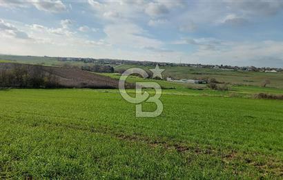 Tekirdağ Çorlu Türkgücü  Mahallesinde Satılık 7000 M2 Tarla 