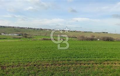 Tekirdağ Çorlu Türkgücü  Mahallesinde Satılık 7000 M2 Tarla 