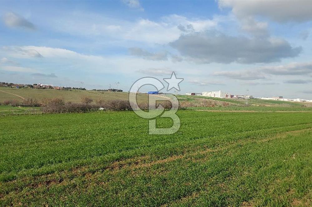 Tekirdağ Çorlu Türkgücü  Mahallesinde Satılık 7000 M2 Tarla 