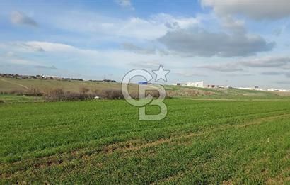 Tekirdağ Çorlu Türkgücü  Mahallesinde Satılık 7000 M2 Tarla 