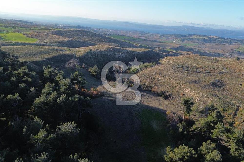 Çanakkale Kızılkeçili Köyünde 14.711 M² Satılık Tarla!
