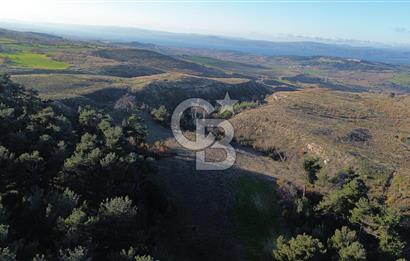 Çanakkale Kızılkeçili Köyünde 14.711 M² Satılık Tarla!