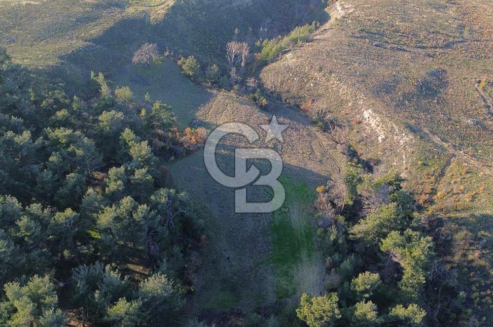 Çanakkale Kızılkeçili Köyünde 14.711 M² Satılık Tarla!