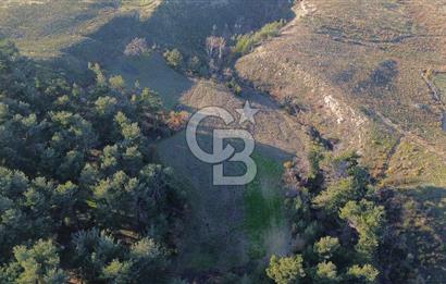 Çanakkale Kızılkeçili Köyünde 14.711 M² Satılık Tarla!