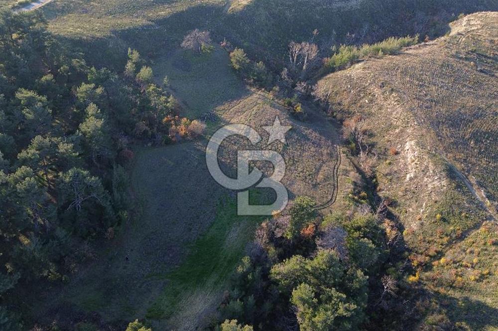 Çanakkale Kızılkeçili Köyünde 14.711 M² Satılık Tarla!