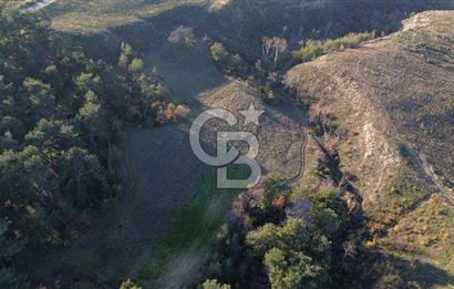 Çanakkale Kızılkeçili Köyünde 14.711 M² Satılık Tarla!