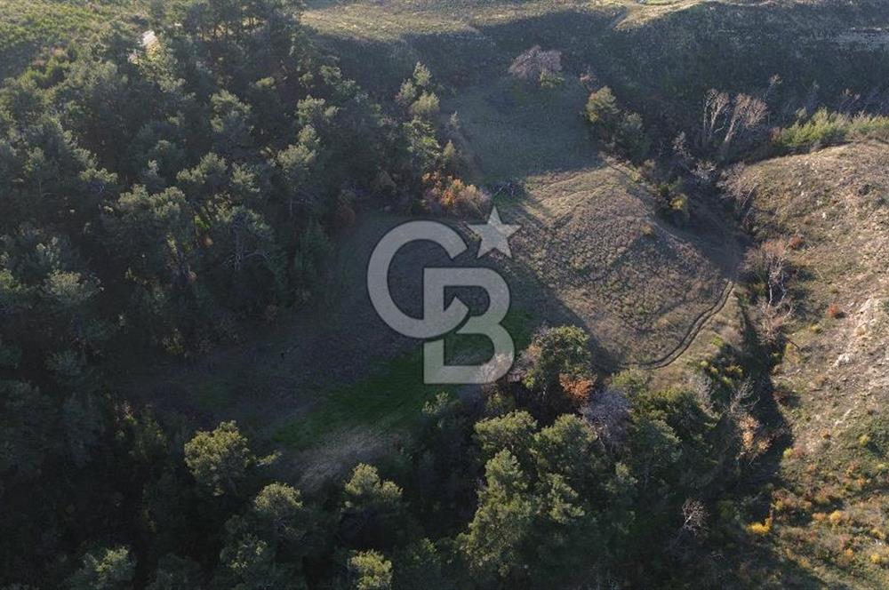 Çanakkale Kızılkeçili Köyünde 14.711 M² Satılık Tarla!