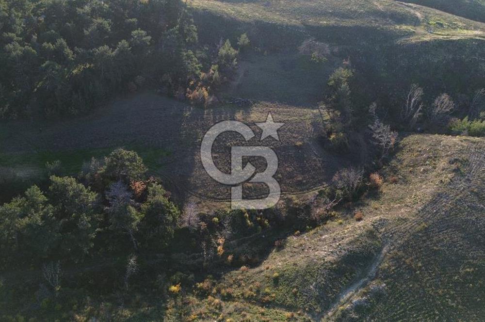 Çanakkale Kızılkeçili Köyünde 14.711 M² Satılık Tarla!