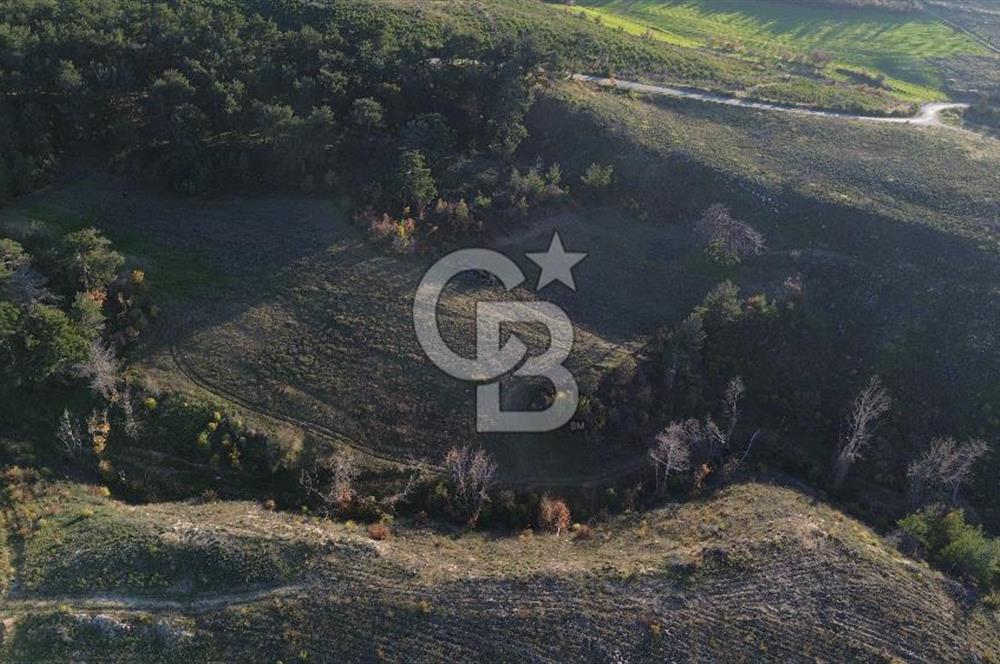 Çanakkale Kızılkeçili Köyünde 14.711 M² Satılık Tarla!