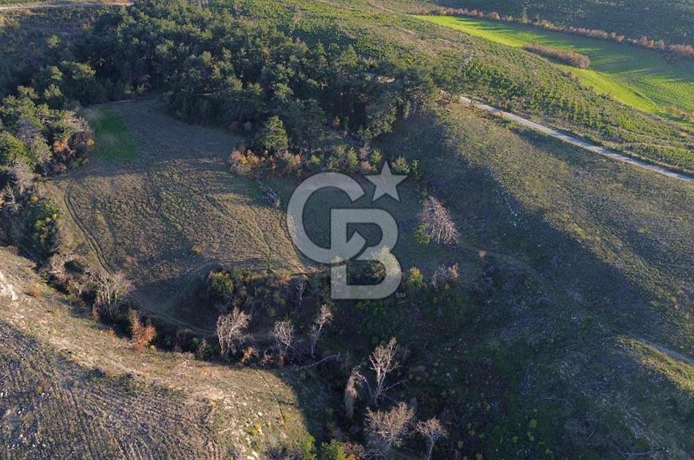 Çanakkale Kızılkeçili Köyünde 14.711 M² Satılık Tarla!