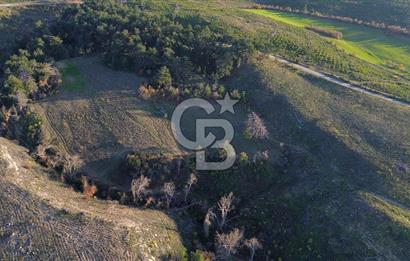 Çanakkale Kızılkeçili Köyünde 14.711 M² Satılık Tarla!