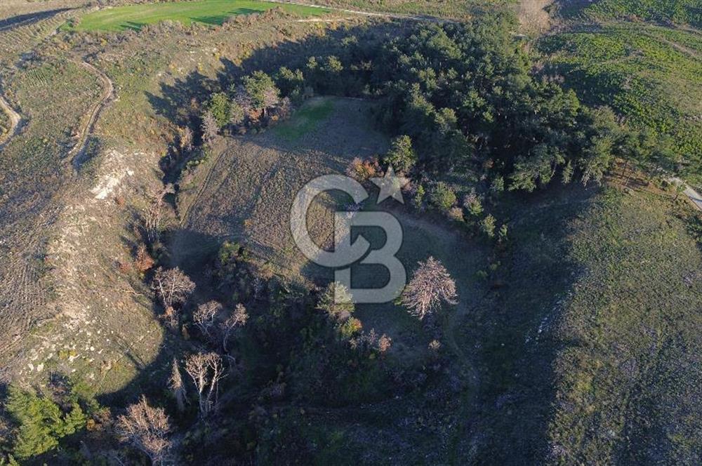 Çanakkale Kızılkeçili Köyünde 14.711 M² Satılık Tarla!