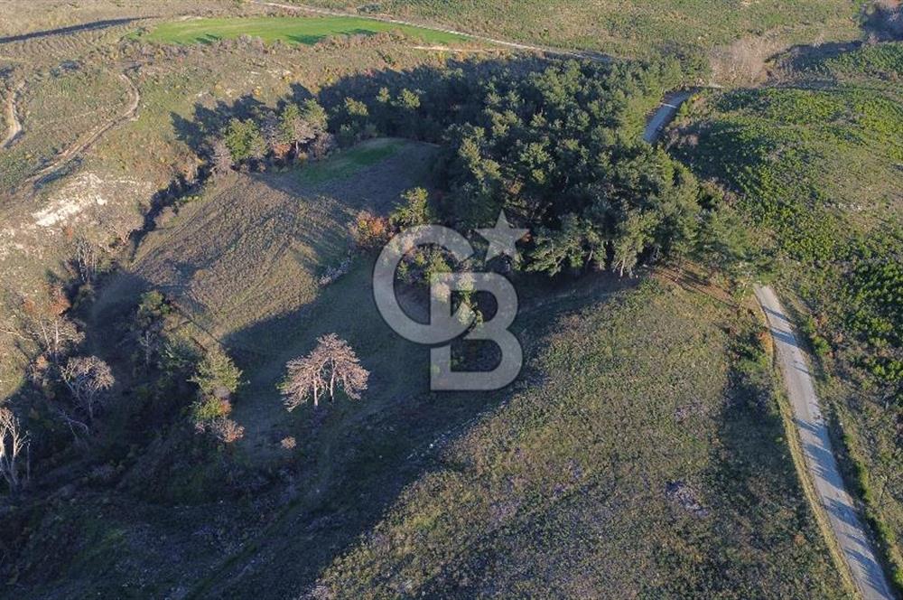 Çanakkale Kızılkeçili Köyünde 14.711 M² Satılık Tarla!