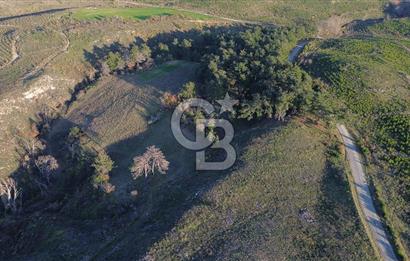 Çanakkale Kızılkeçili Köyünde 14.711 M² Satılık Tarla!