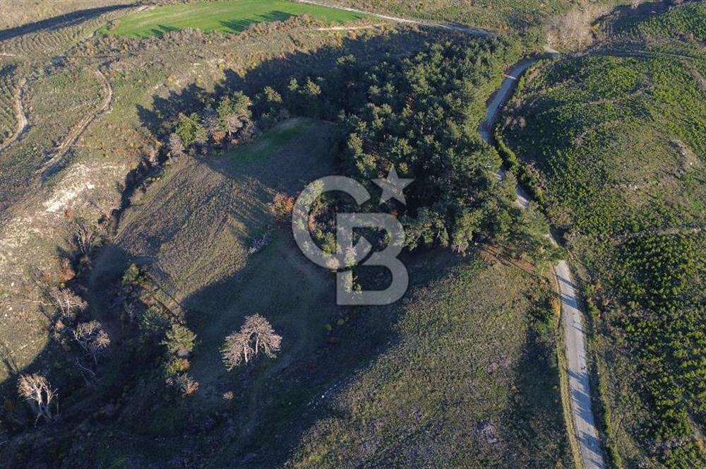 Çanakkale Kızılkeçili Köyünde 14.711 M² Satılık Tarla!