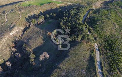 Çanakkale Kızılkeçili Köyünde 14.711 M² Satılık Tarla!