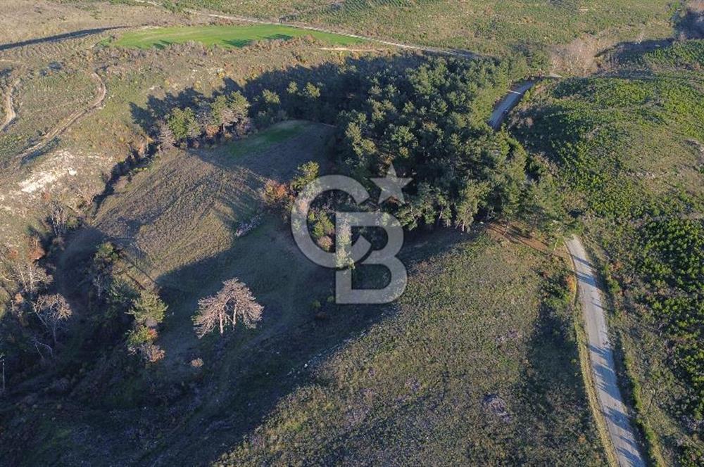 Çanakkale Kızılkeçili Köyünde 14.711 M² Satılık Tarla!