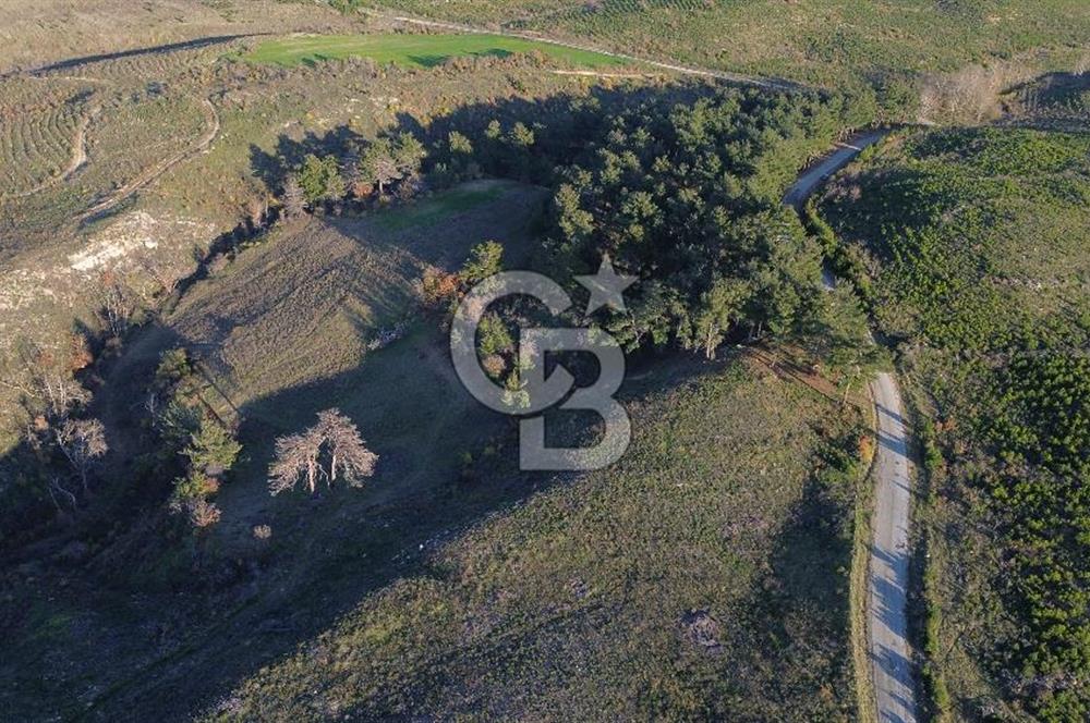 Çanakkale Kızılkeçili Köyünde 14.711 M² Satılık Tarla!