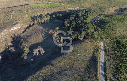 Çanakkale Kızılkeçili Köyünde 14.711 M² Satılık Tarla!