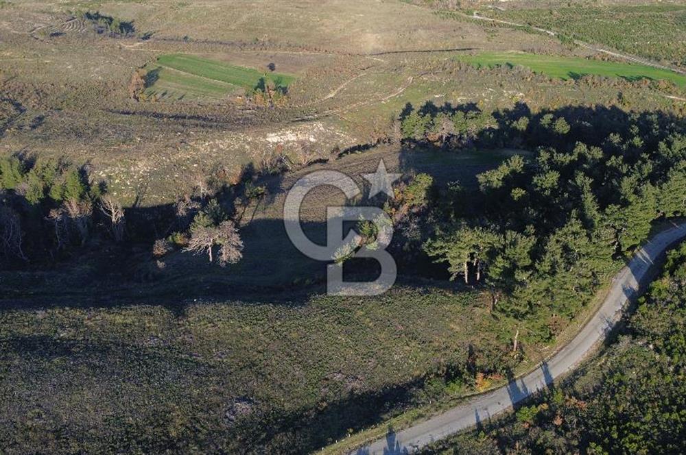 Çanakkale Kızılkeçili Köyünde 14.711 M² Satılık Tarla!