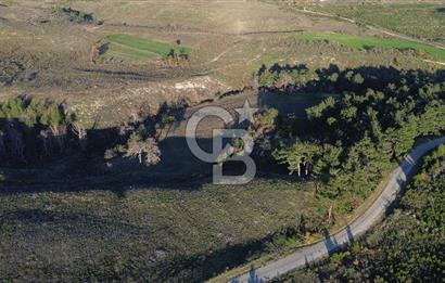 Çanakkale Kızılkeçili Köyünde 14.711 M² Satılık Tarla!