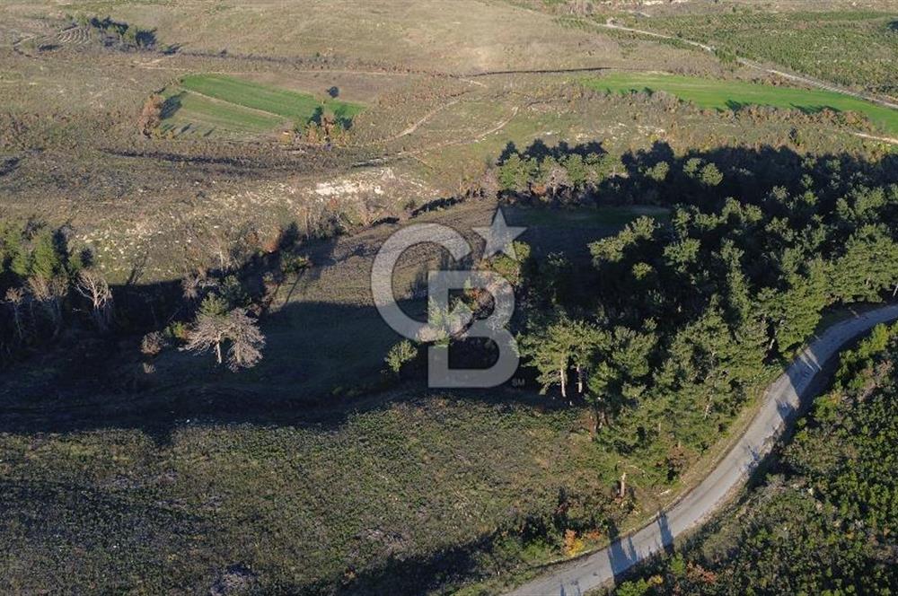 Çanakkale Kızılkeçili Köyünde 14.711 M² Satılık Tarla!