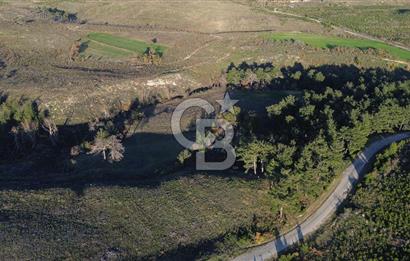 Çanakkale Kızılkeçili Köyünde 14.711 M² Satılık Tarla!