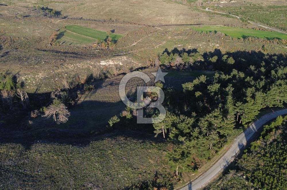 Çanakkale Kızılkeçili Köyünde 14.711 M² Satılık Tarla!