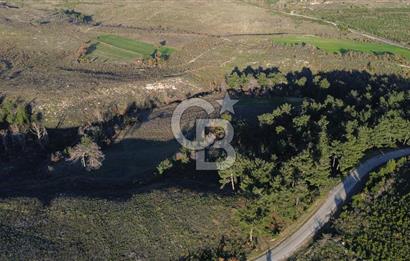 Çanakkale Kızılkeçili Köyünde 14.711 M² Satılık Tarla!