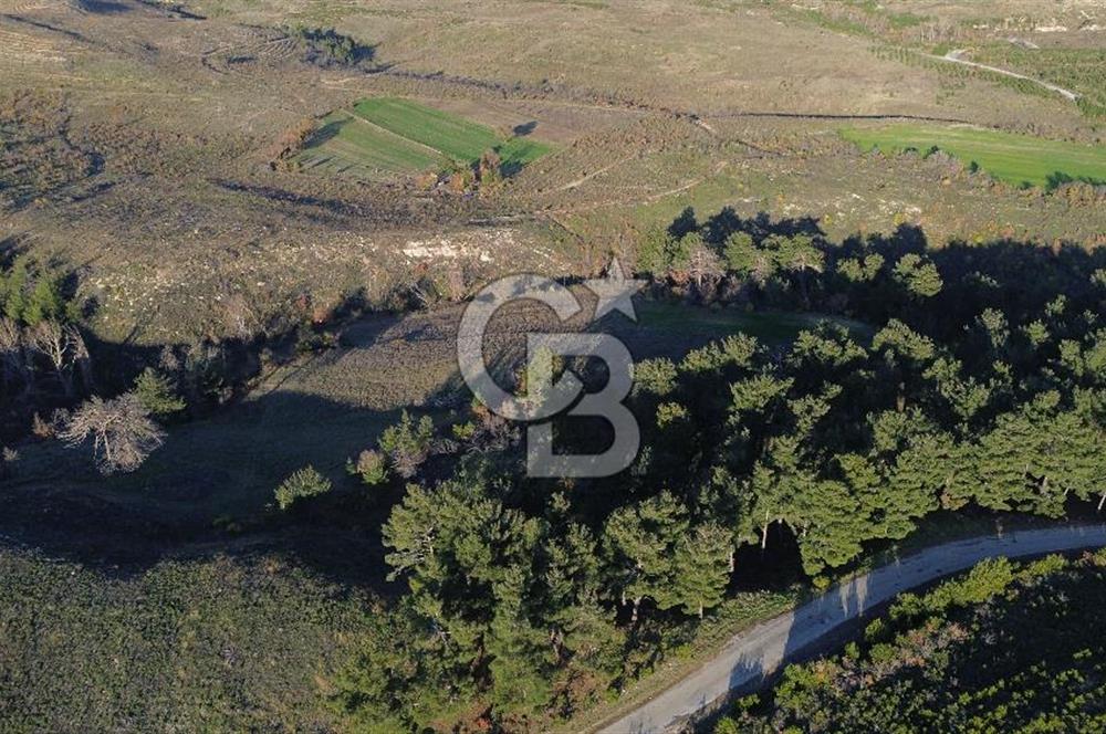 Çanakkale Kızılkeçili Köyünde 14.711 M² Satılık Tarla!