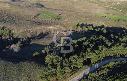 Çanakkale Kızılkeçili Köyünde 14.711 M² Satılık Tarla!