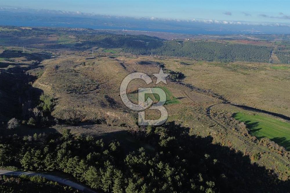 Çanakkale Kızılkeçili Köyünde 14.711 M² Satılık Tarla!