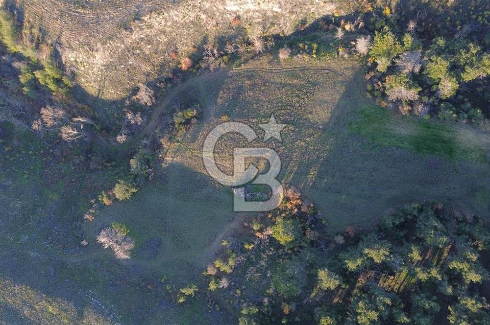 Çanakkale Kızılkeçili Köyünde 14.711 M² Satılık Tarla!