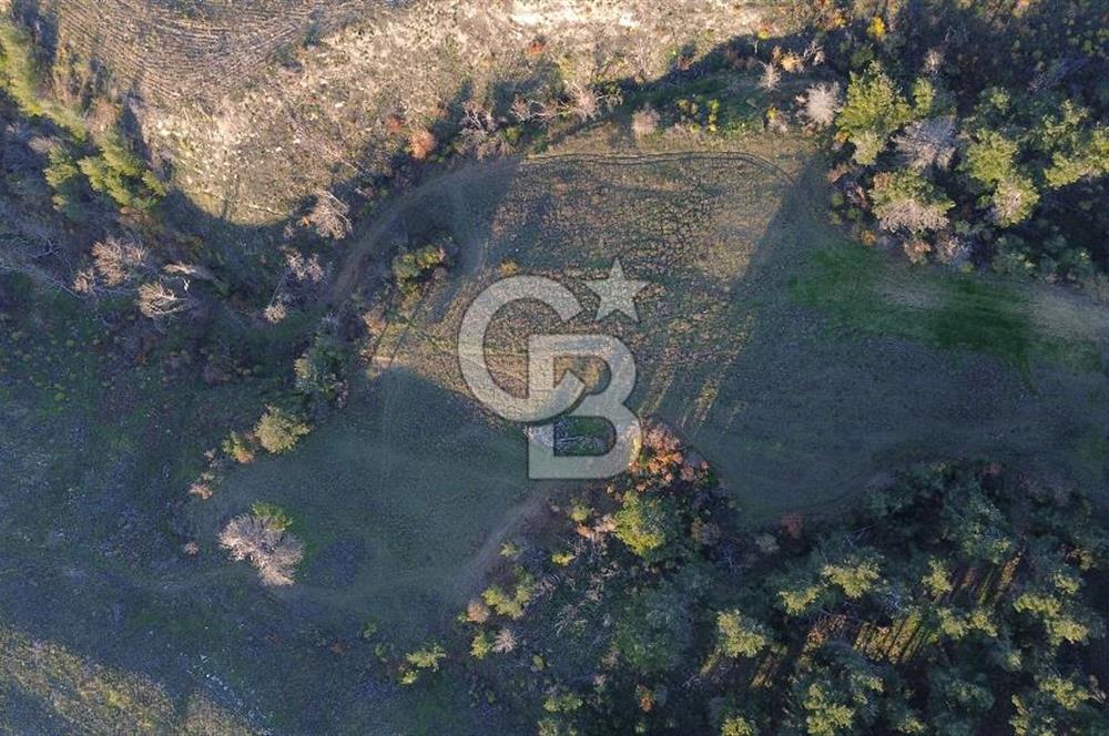 Çanakkale Kızılkeçili Köyünde 14.711 M² Satılık Tarla!