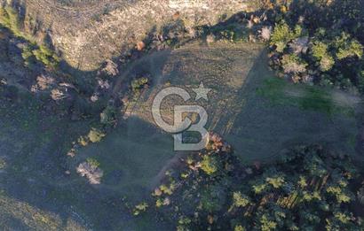 Çanakkale Kızılkeçili Köyünde 14.711 M² Satılık Tarla!