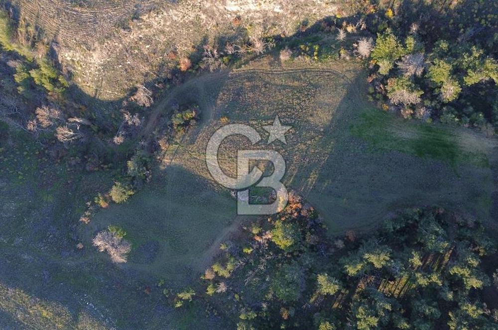 Çanakkale Kızılkeçili Köyünde 14.711 M² Satılık Tarla!