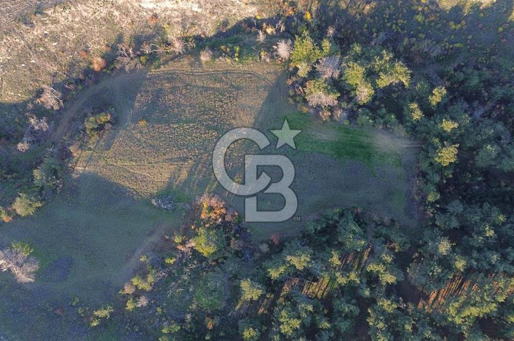 Çanakkale Kızılkeçili Köyünde 14.711 M² Satılık Tarla!