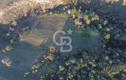 Çanakkale Kızılkeçili Köyünde 14.711 M² Satılık Tarla!