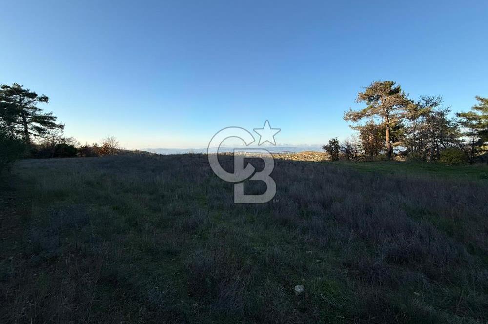 Çanakkale Kızılkeçili Köyünde 14.711 M² Satılık Tarla!